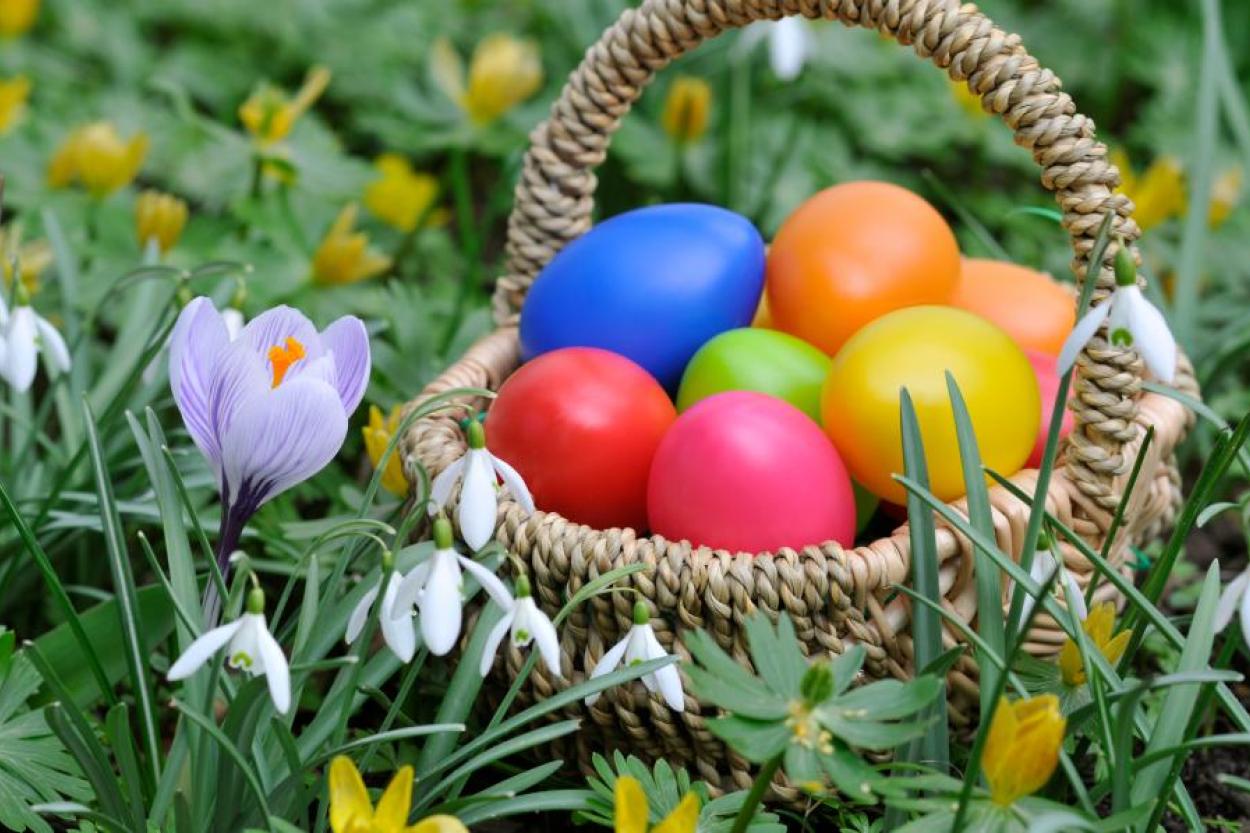 Какими натуральными красителями можно покрасить яйца к Пасхе?