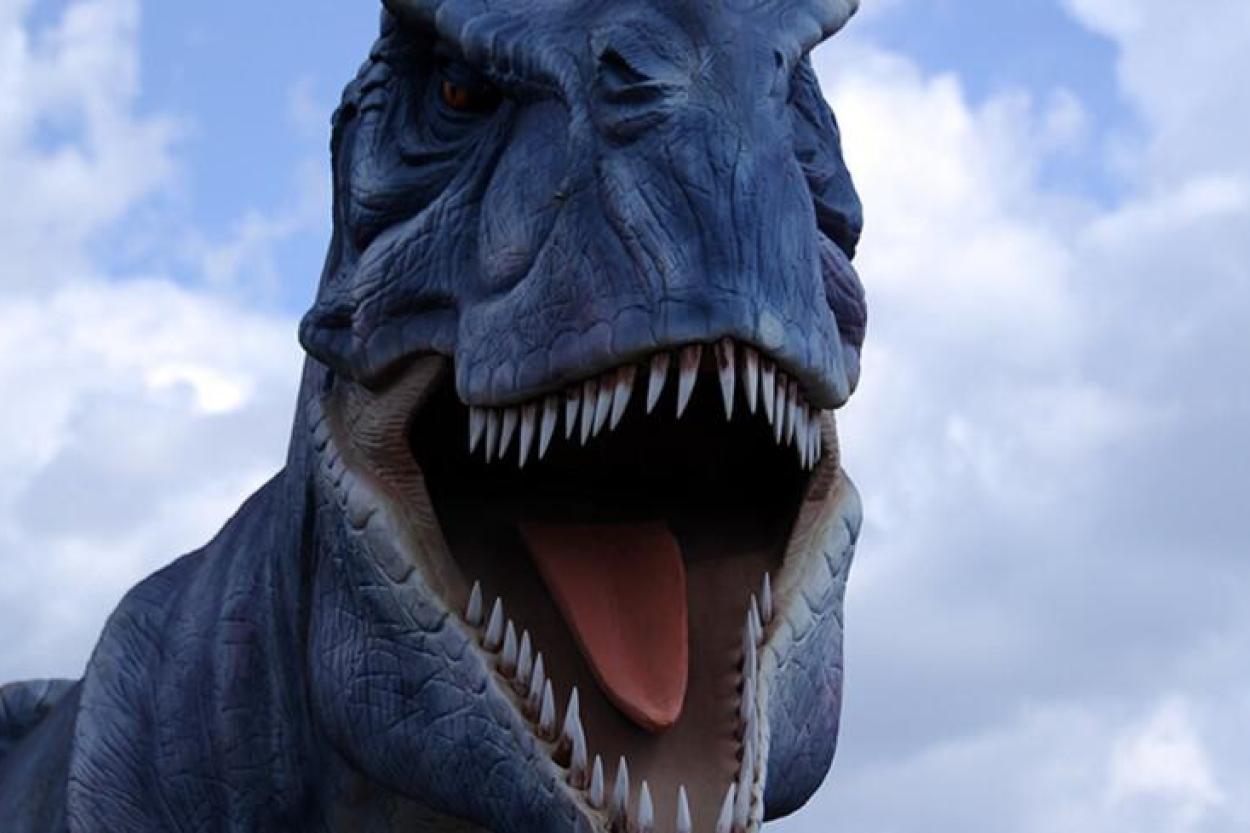 Могут ли динозавры вновь появиться на Земле?