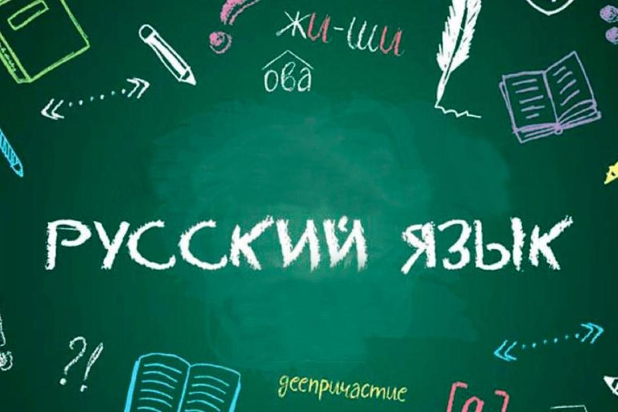 Бороться с русским языком нон-стоп. Сейм забросали инициативами