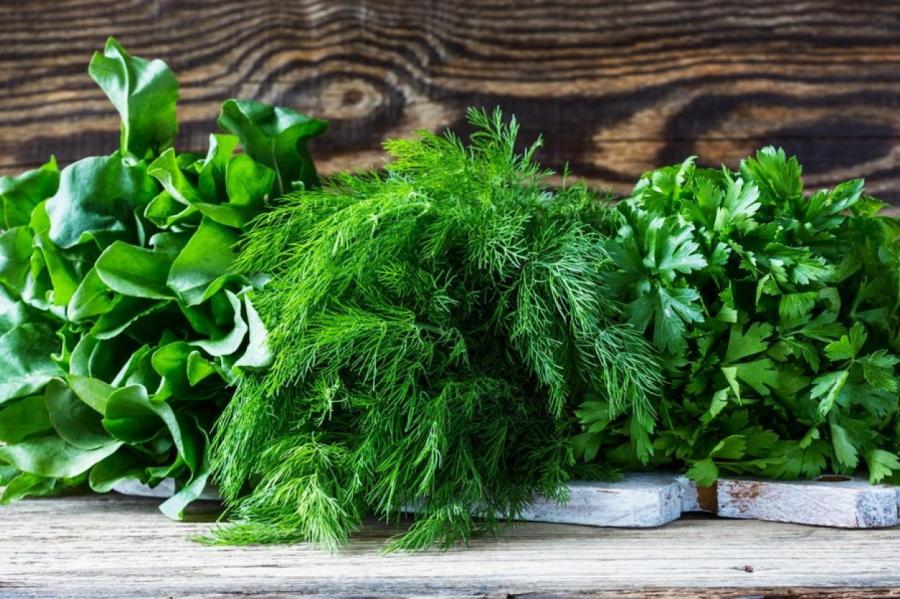 Как хранить зелень в холодильнике, чтобы она оставалась свежей неделю
