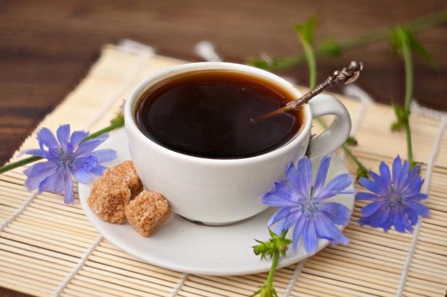 Действительно ли цикорий ─ полезная альтернатива кофе?