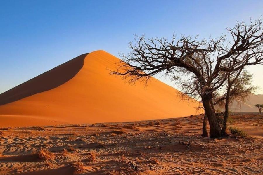 Намибия - путешествие мечты!