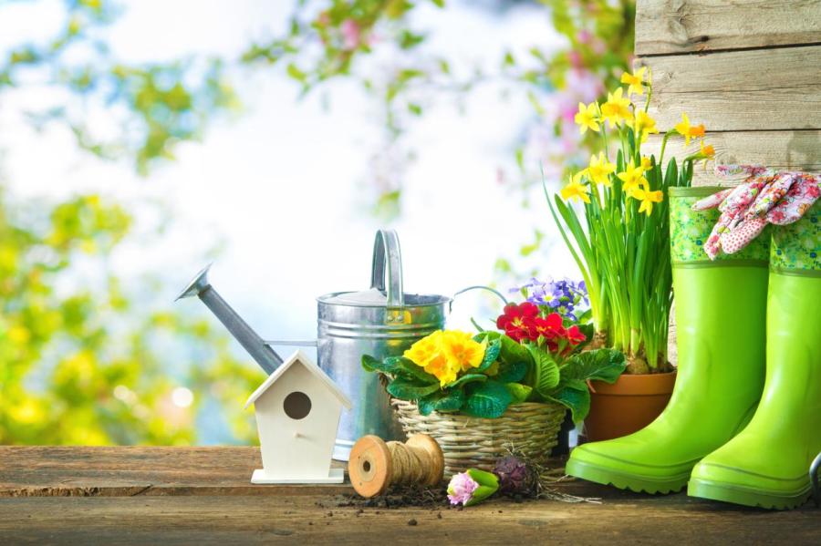 Семь важных садовых работ, которые нужно провести на даче в мае