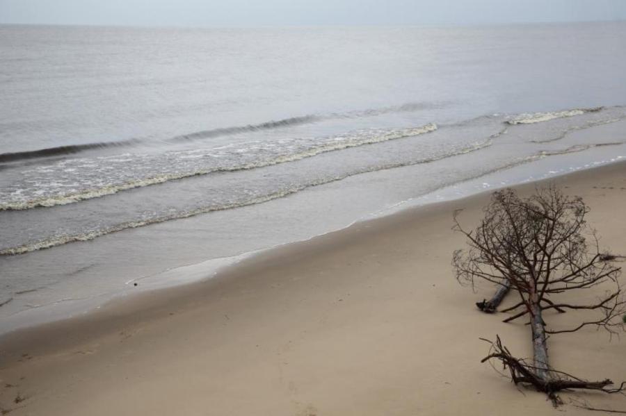 Треть Балтийского моря уже мертва - WWF