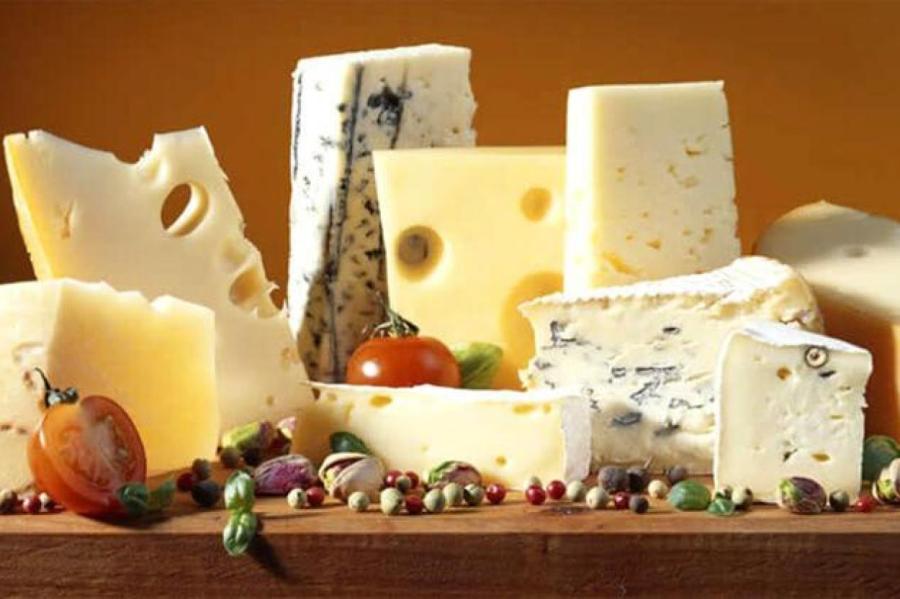 Вредно ли есть много сыра