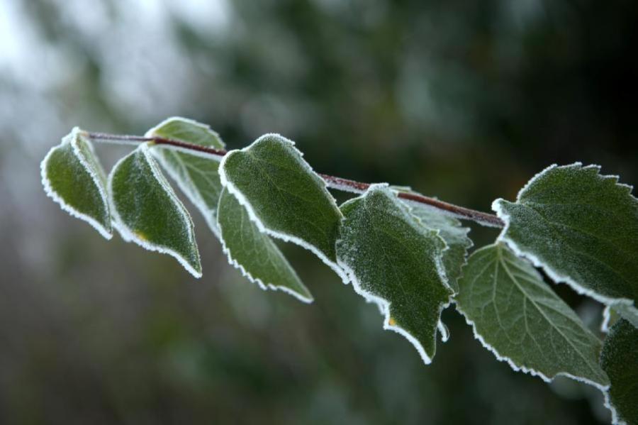 Побиты рекорды холода: утром на востоке Латвии было -6 градусов
