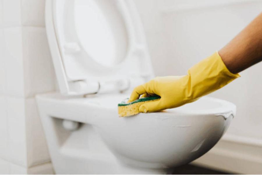 Как часто должны мыть туалет хорошие хозяйки?
