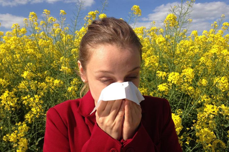 Cоветы для аллергиков: как пережить сезон цветения растений