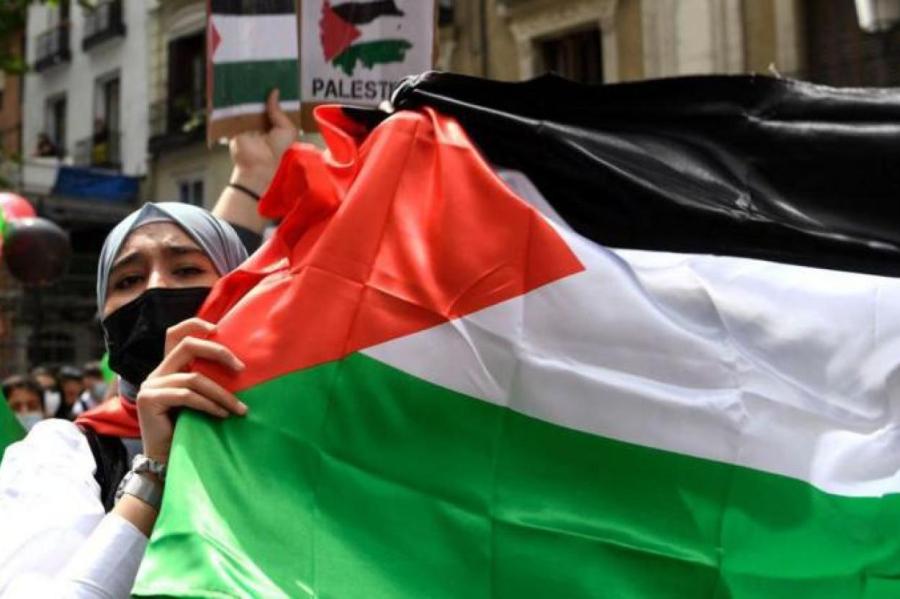Волна признания Палестины выбесила израильский МИД (ВИДЕО)