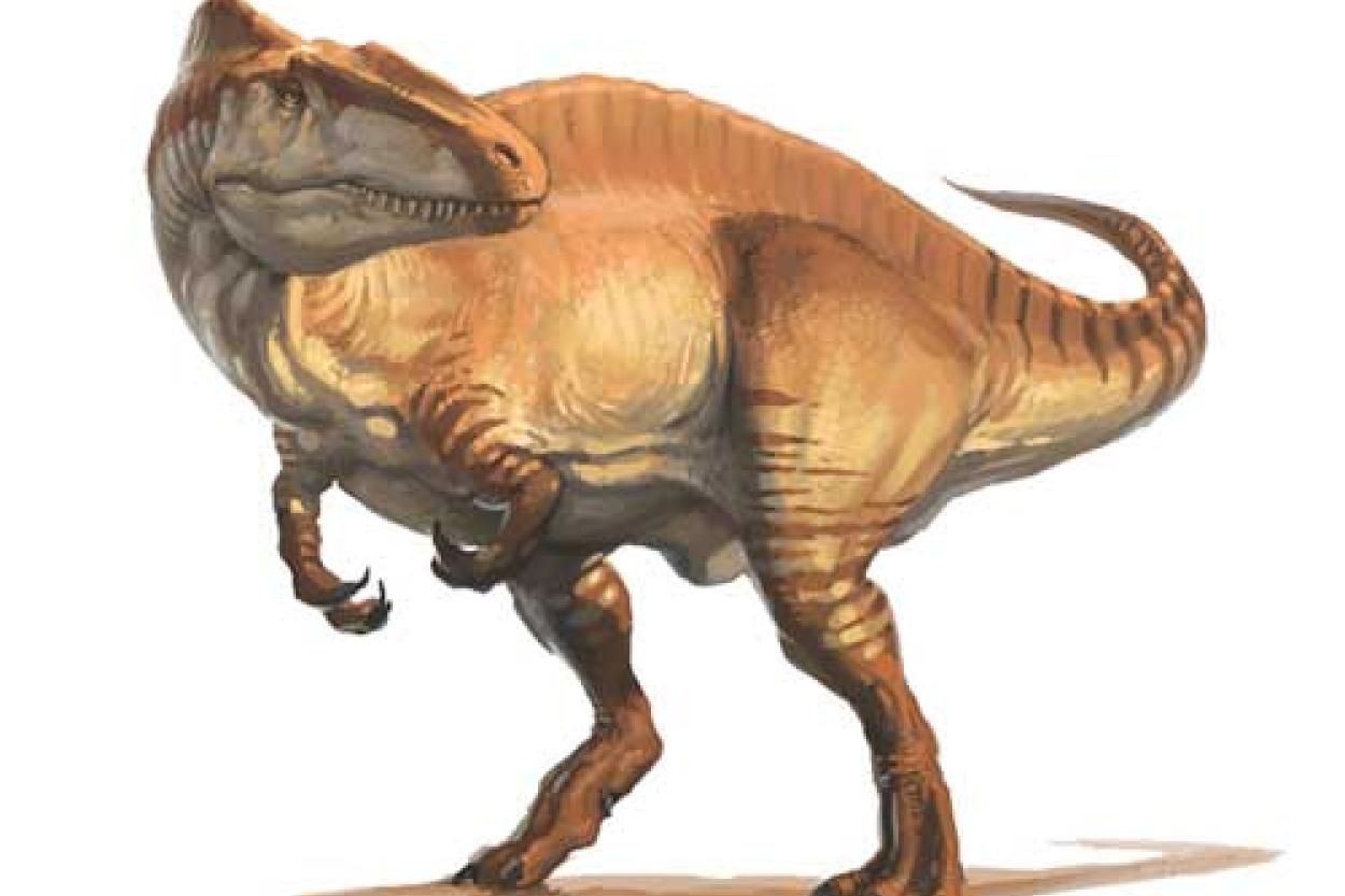 Почему у динозавров такие сложные названия?