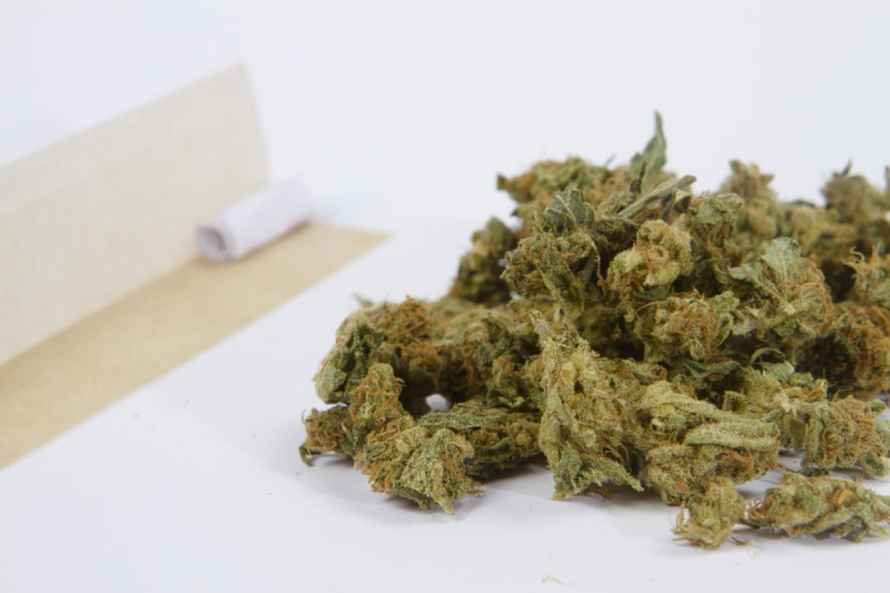 В Эстонии задумались о легализации марихуаны, но испугались ее последствий