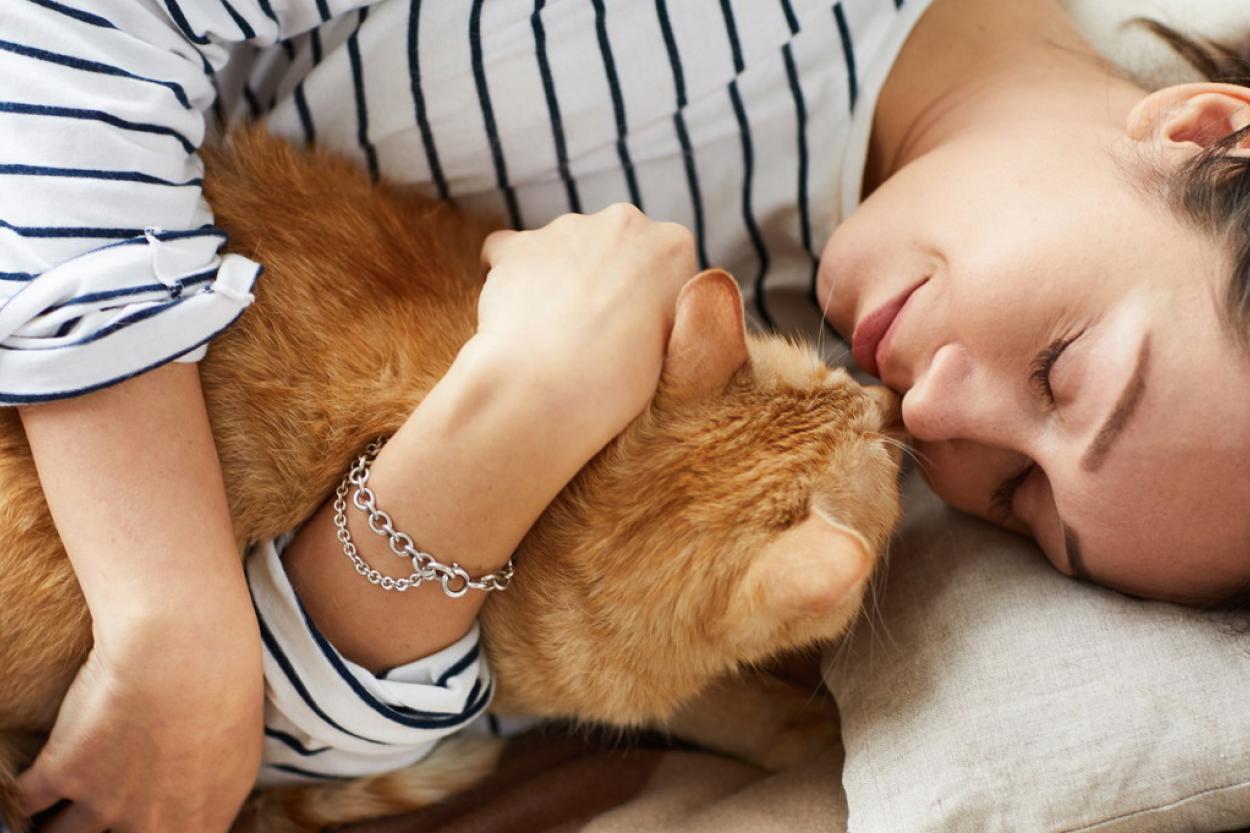 Как отучить кошку будить вас по утрам и 3 причины, почему усатые это делают