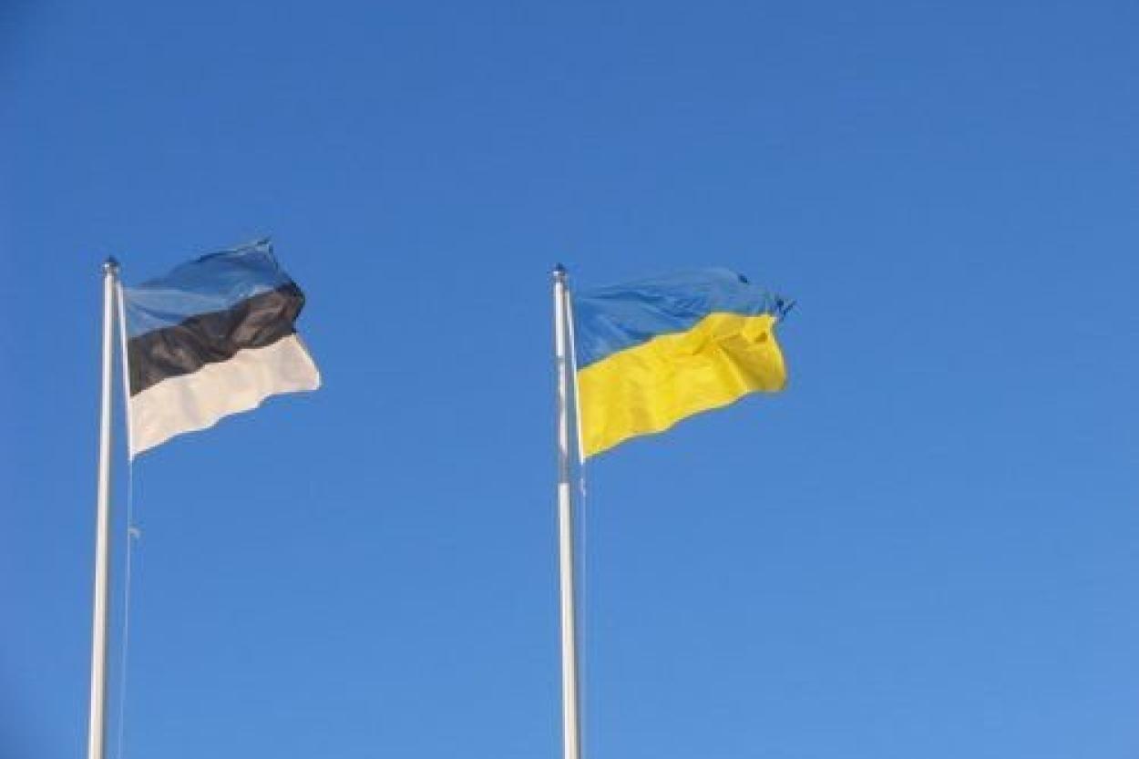 На Украине погиб еще один эстонский солдат-доброволец