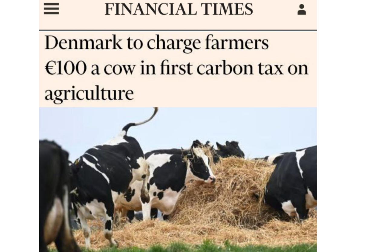Financial Times: Дания впервые в мире ввела карбоновый налог на коров (ВИДЕО)