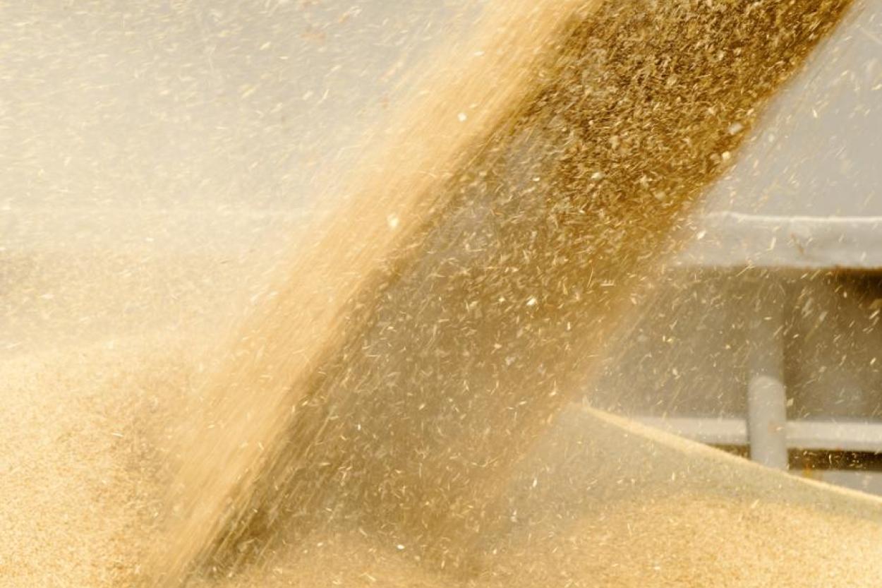 ЕС повысил таможенные пошлины на зерно из России и Беларуси