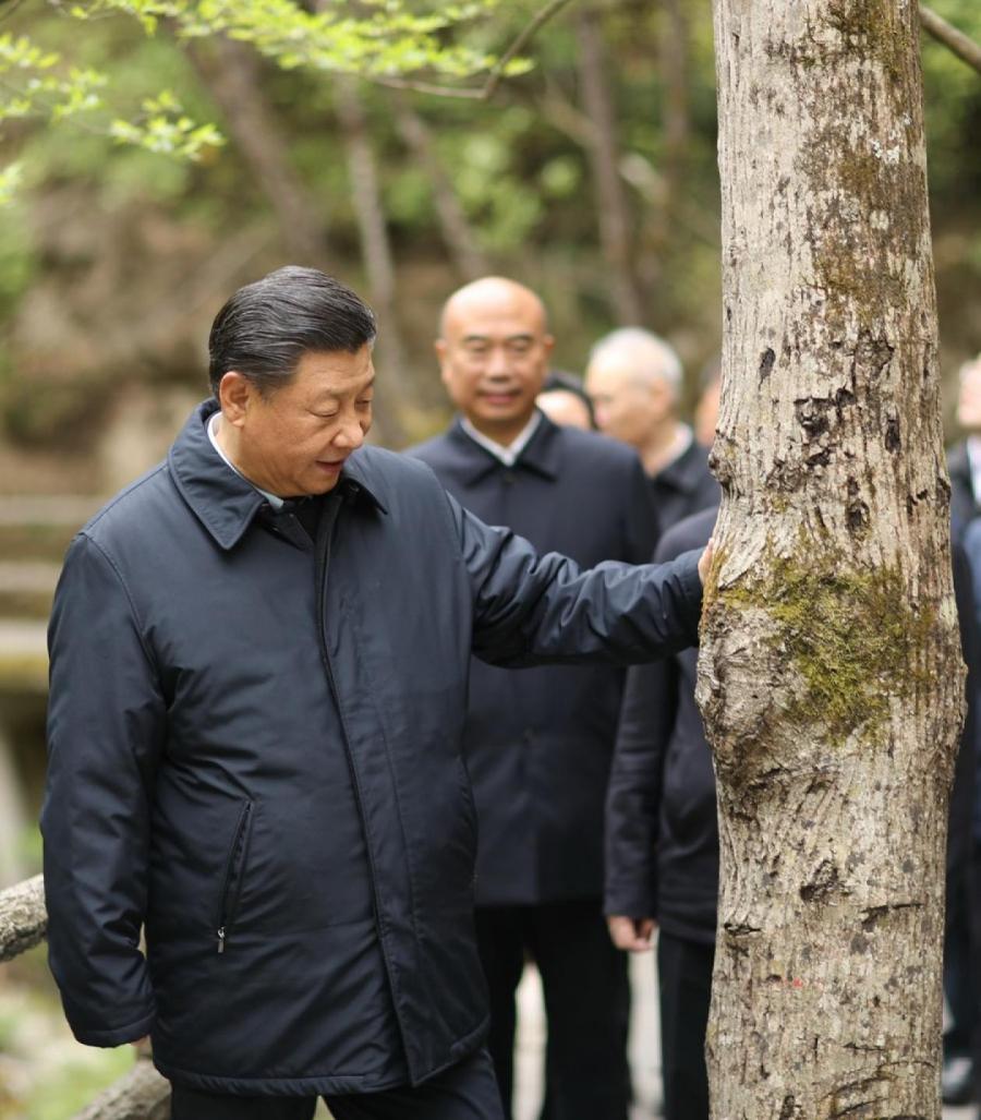 20 апреля 2020 года, Си Цзиньпин изучает ситуацию по защите экологии в государственном природном заповеднике 