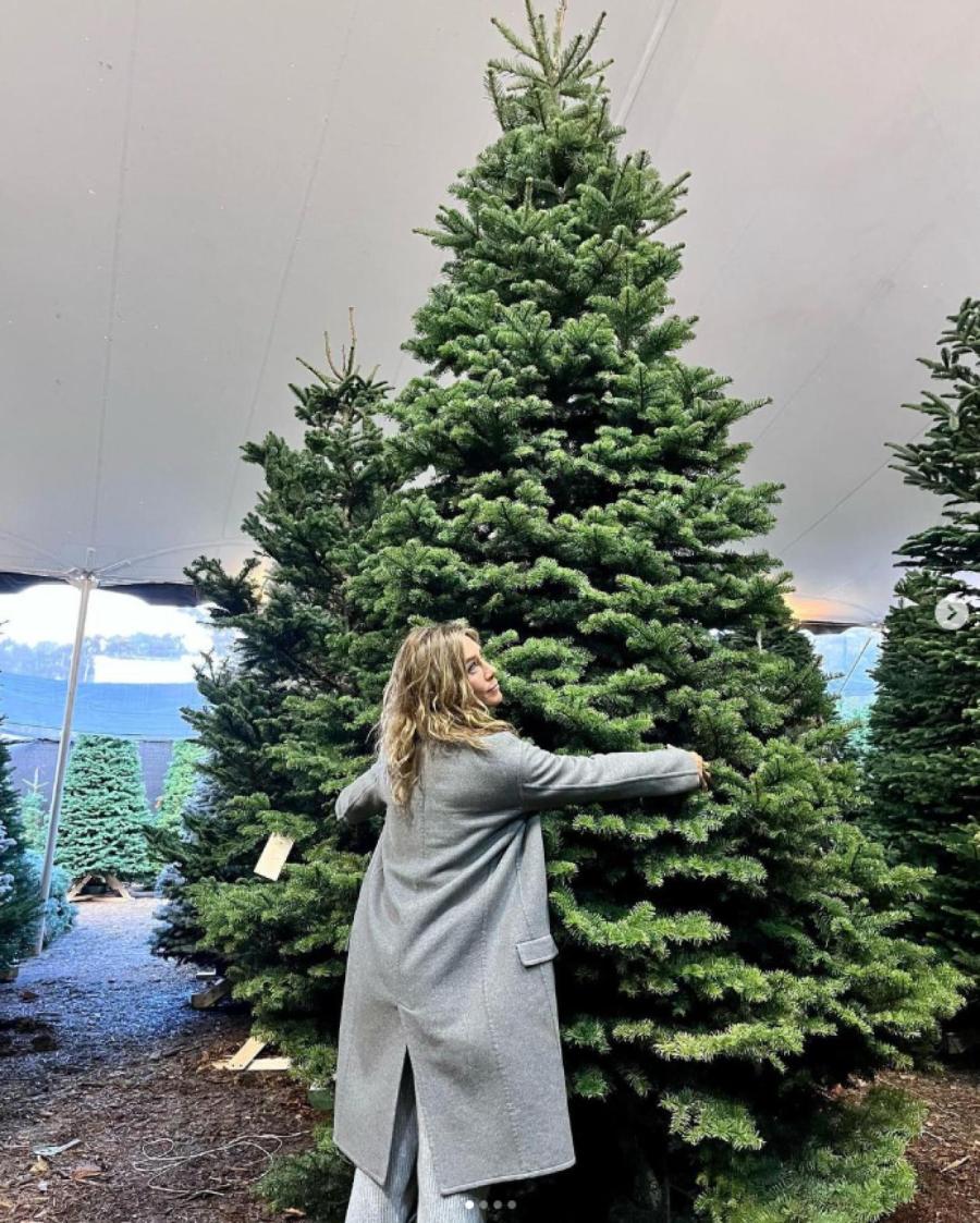 Дженнифер Энистон и ее елка