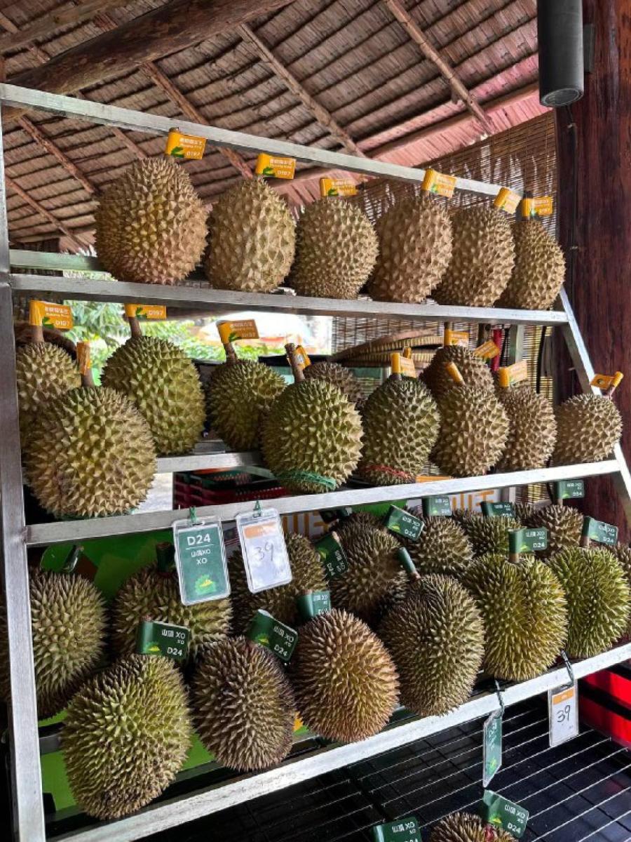 Свежеснятые плоды земли малайской.