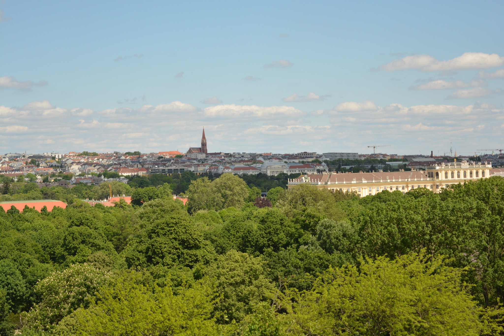 10_11_wienna_4.jpg