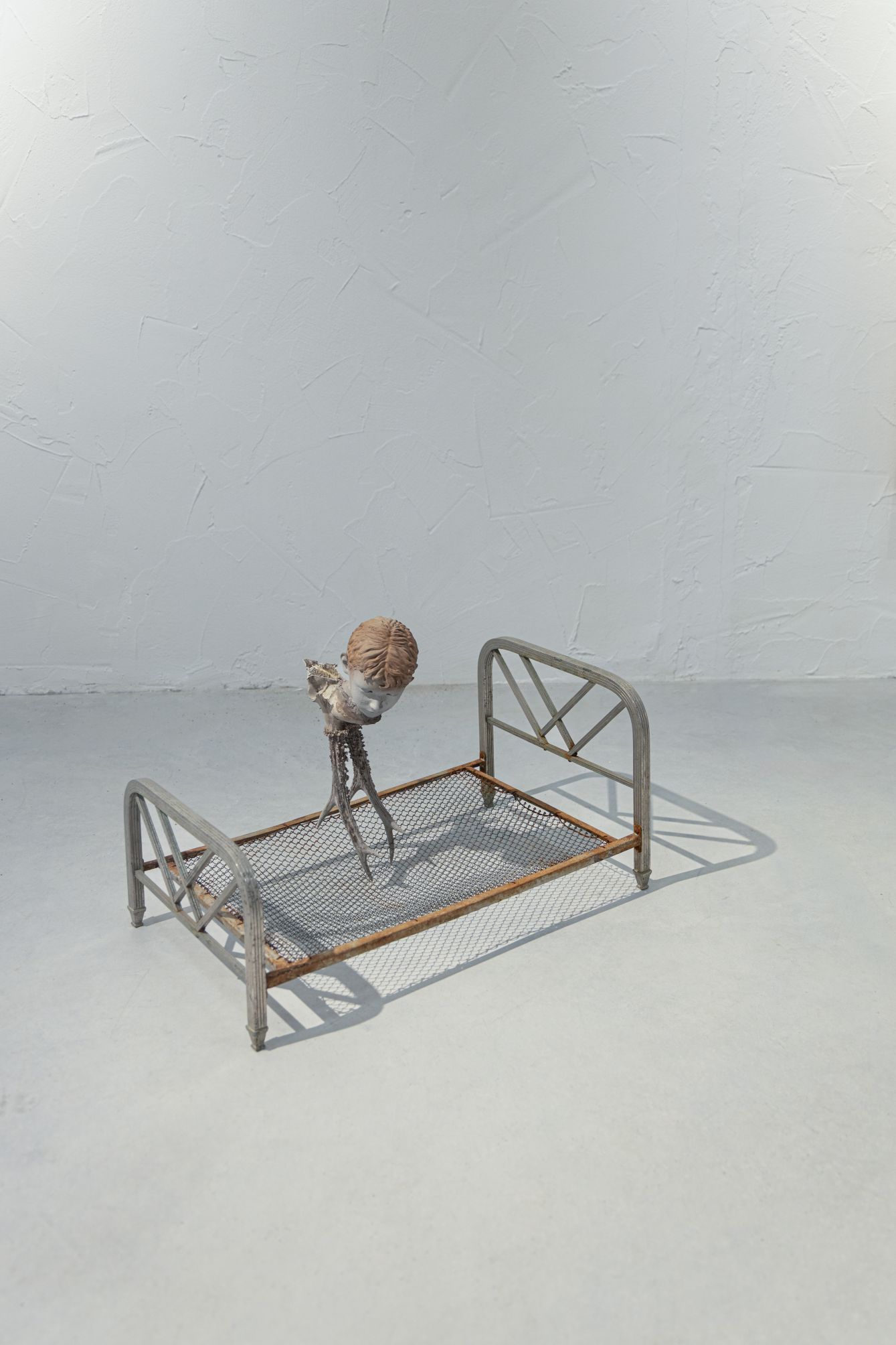 3_LRico_Farmer_2026-m.jpg