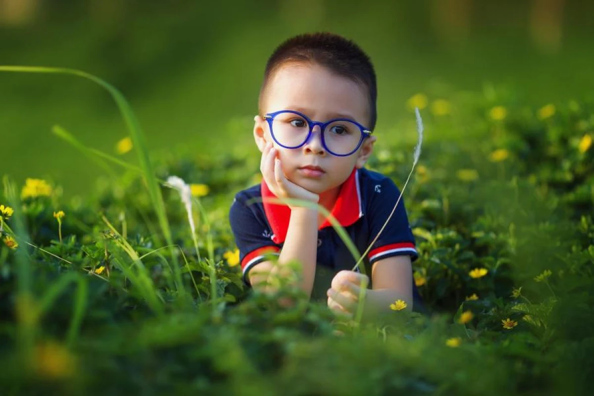 Изображение к статье: Коэффициент IQ у ребенка: как узнать в игровой форме