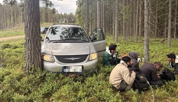 Нелегальные мигранты, задержанные в лесах Латвии