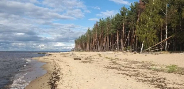 Изображение к статье: Погода на море