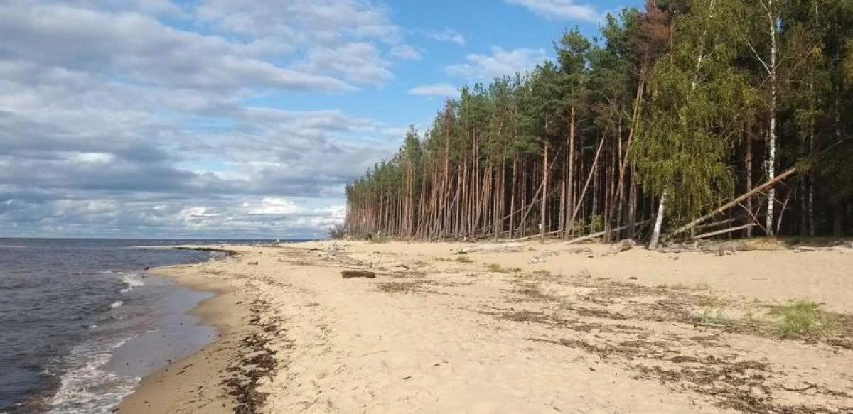 Изображение к статье: Погода на море