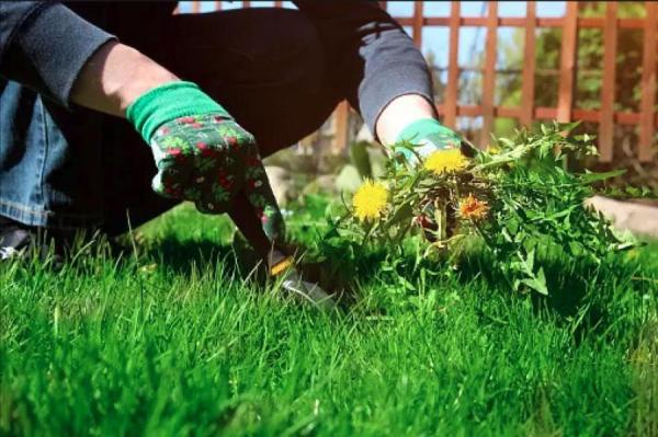 Изображение к статье: unsplash.com