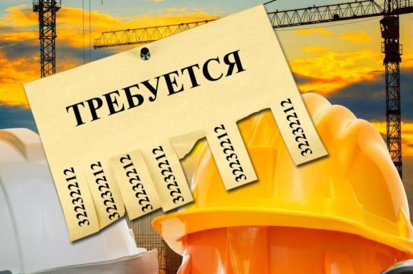 «Сын c прекрасным образованием уже год ищет в Риге работу». Виноват русский?