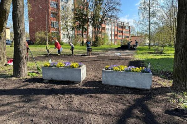 Рижская дума в восторге: жители сами начали украшать город