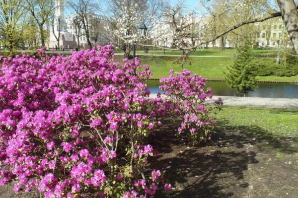 В четверг будет солнечно и без осадков