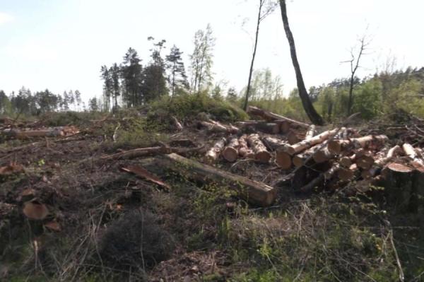 «Страшно представить, сколько погибло» - народ в шоке от происходящего под Ригой