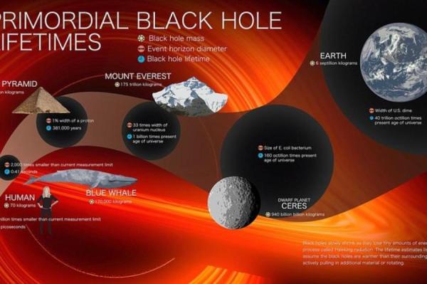 Изображение: NASA's Goddard Space Flight Center / phys.org