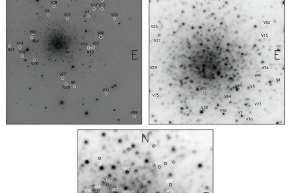 Изображение: Ferro et al., 2024 / phys.org