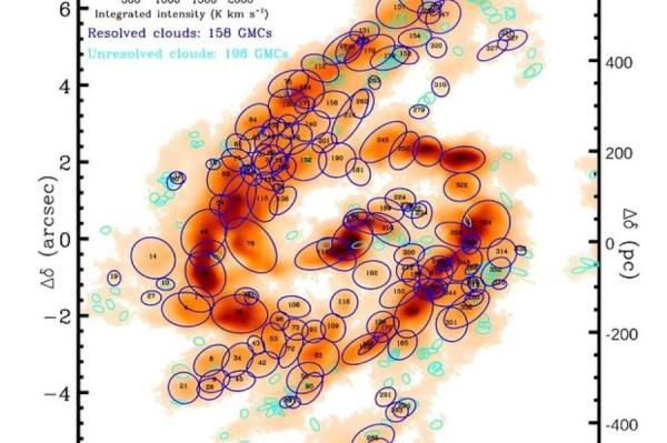 Изображение: Choi et al., 2024 / phys.org