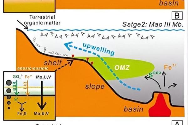 Изображение: Wang et al 2024 / phys.org