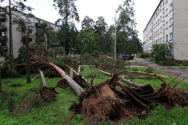 В среду возможны разрушительные порывы ветра и даже торнадо