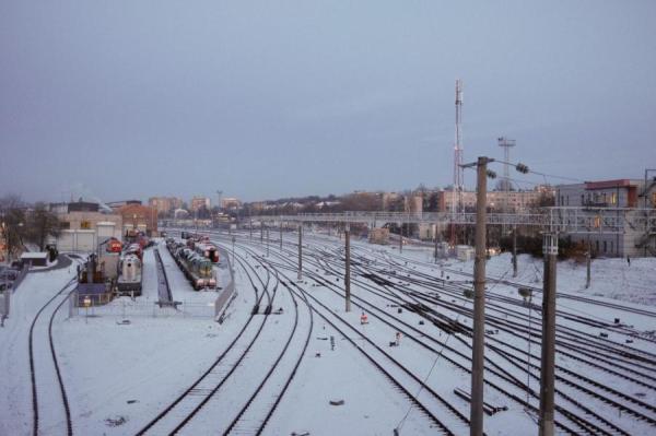 С транзитного поезда в Вильнюсе высадились двое белорусов