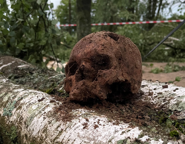 Под сломанным деревом возле Бауского замка нашли несколько черепов (+ФОТО, ВИДЕО)