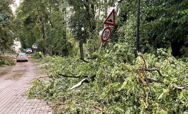 Бауске потребуется помощь государства для восстановления после бури