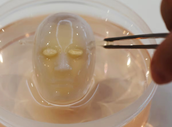 Учёные вырастили человеческую кожу для робота и заставили его улыбаться