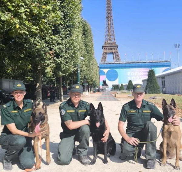 Латвийские кинологи с собаками отправились на Олимпиаду в Париж
