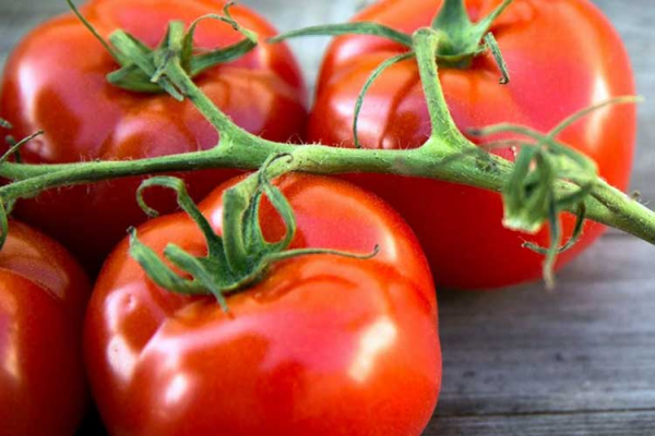Почему помидоры из холодильника теряют аромат