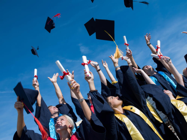 Какое высшее образование выбирает нынешняя молодежь?
