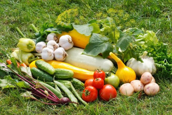 Что происходит с плодами при хранении? Научный подход с сбору урожая