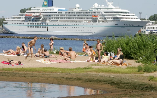 Изображение к статье: leta