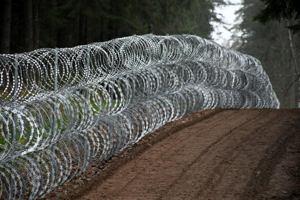 За день предотвращены 48 попыток пересечения латвийско-белорусской границы