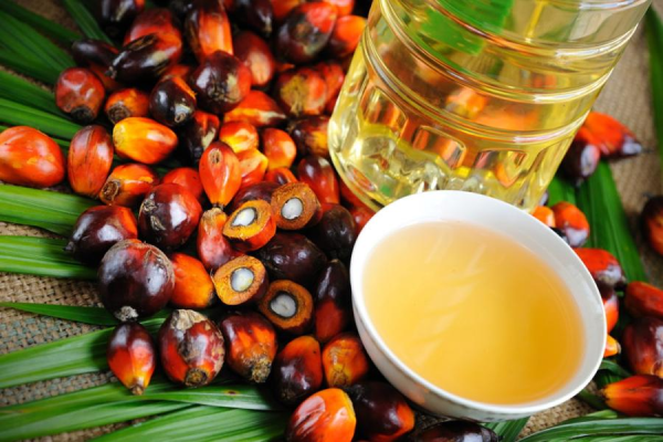 Как выбрать оливковое масло, где применить в кулинарии и можно ли на нем жарить