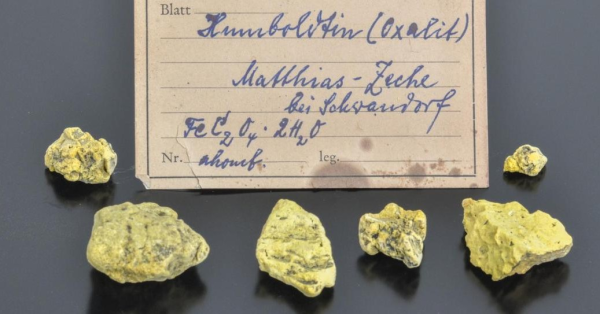 Один на миллион: ученые случайно обнаружили редчайший минерал в мире из-за старого письма
